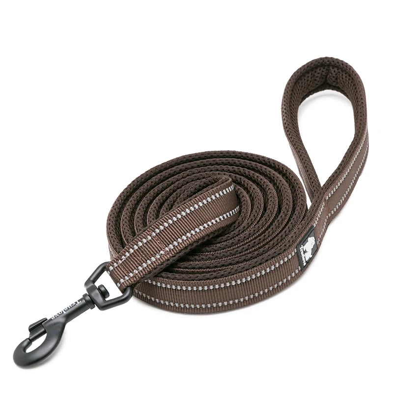 Winhyepet Padded Handle Dog Leash Durable Training Nylon