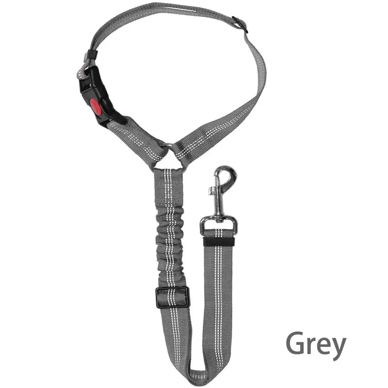 Two-In-One Pet Car Seat Belt Harness And Leash, Adjustable, Reflective