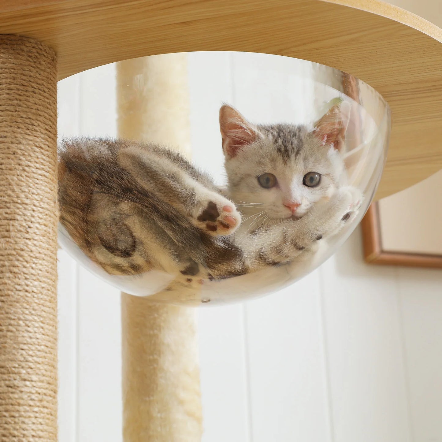 PAWZ Ro Multi Level Cat Tree Indoor Wood Tower Posts