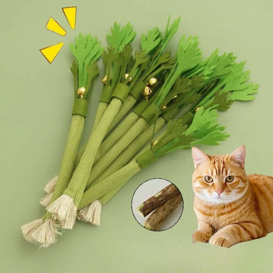 Cat Chew Toys Interactive Catnip Molar Stick With Bell Toy
