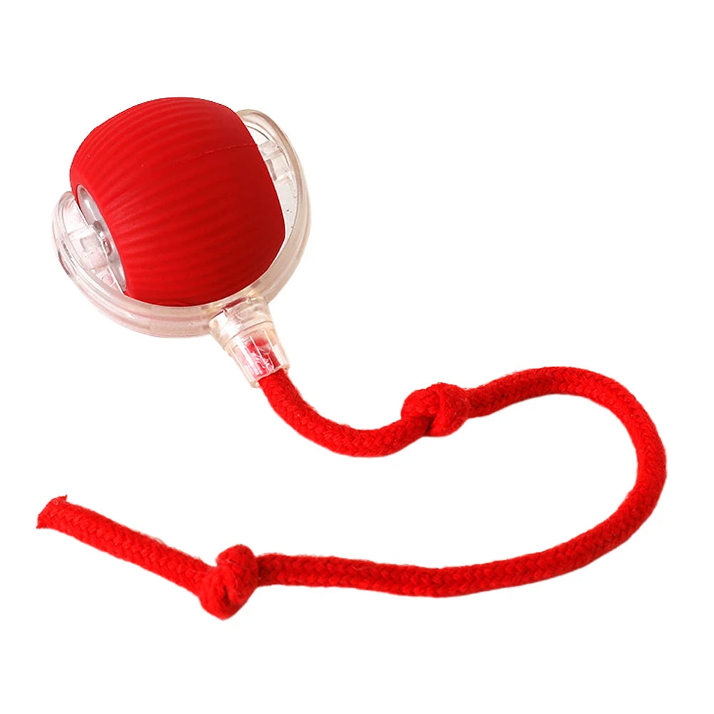 Alloet Cat Interactive Ball Toys Automatic Rolling Ball Indoor Cats
