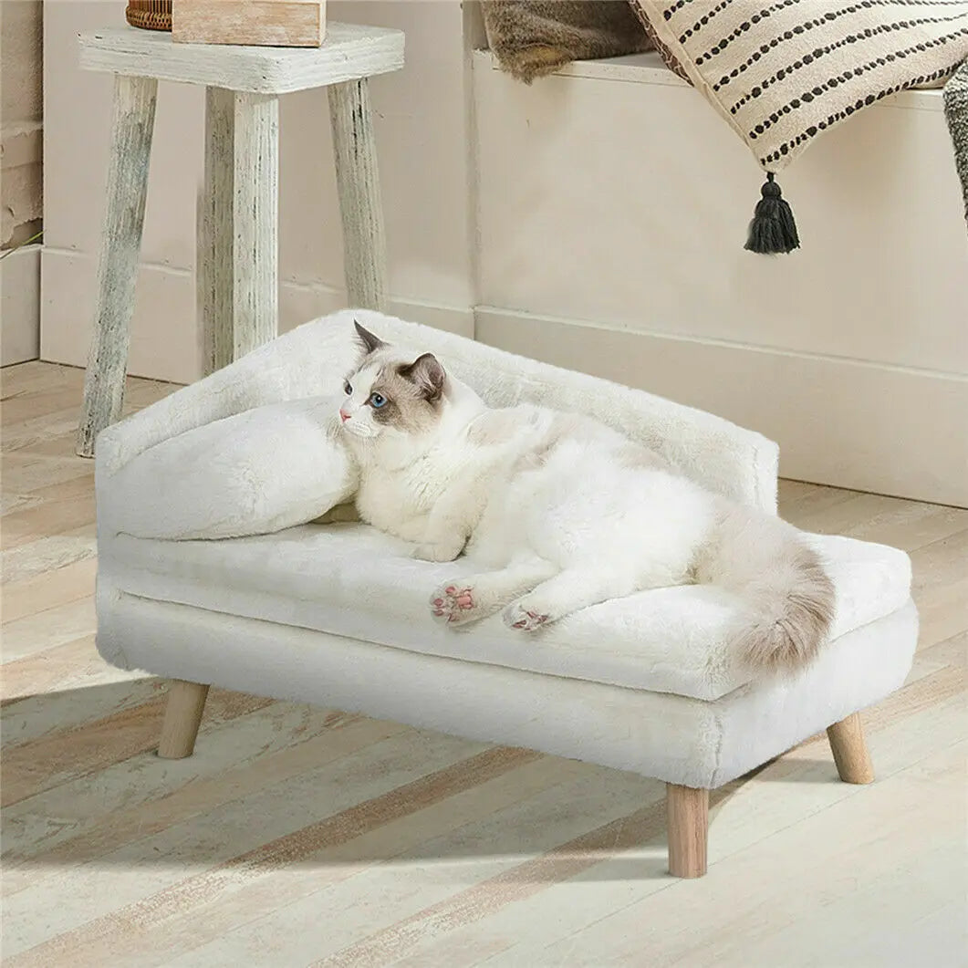 Elevated Pet Sofa With Solid Wood Legs And Plush Cushion