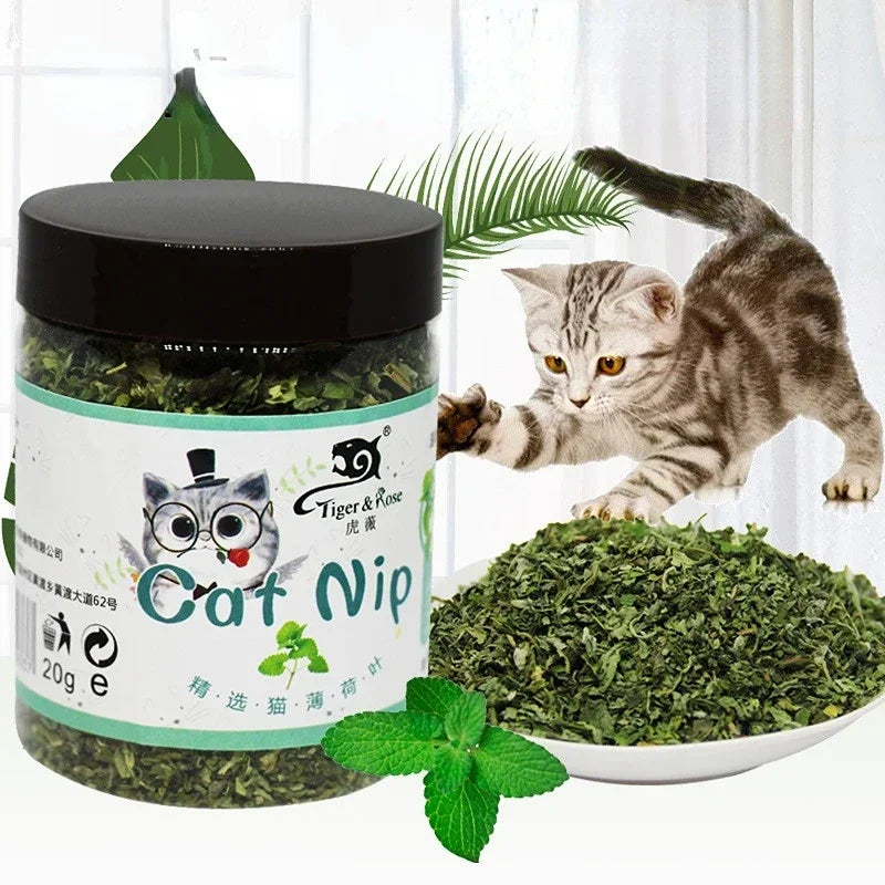 Organic Catnip Grass Mint Cat Toy For Cats Interactive Fun Pet Supplies