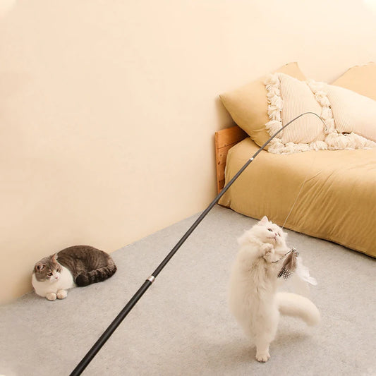 Telescopic Cat Wand With Feather Toy For Boredom Relief