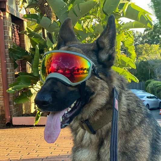 PETRAVEL CN Dog Goggles Anti UV Sunglasses For Travel Protection