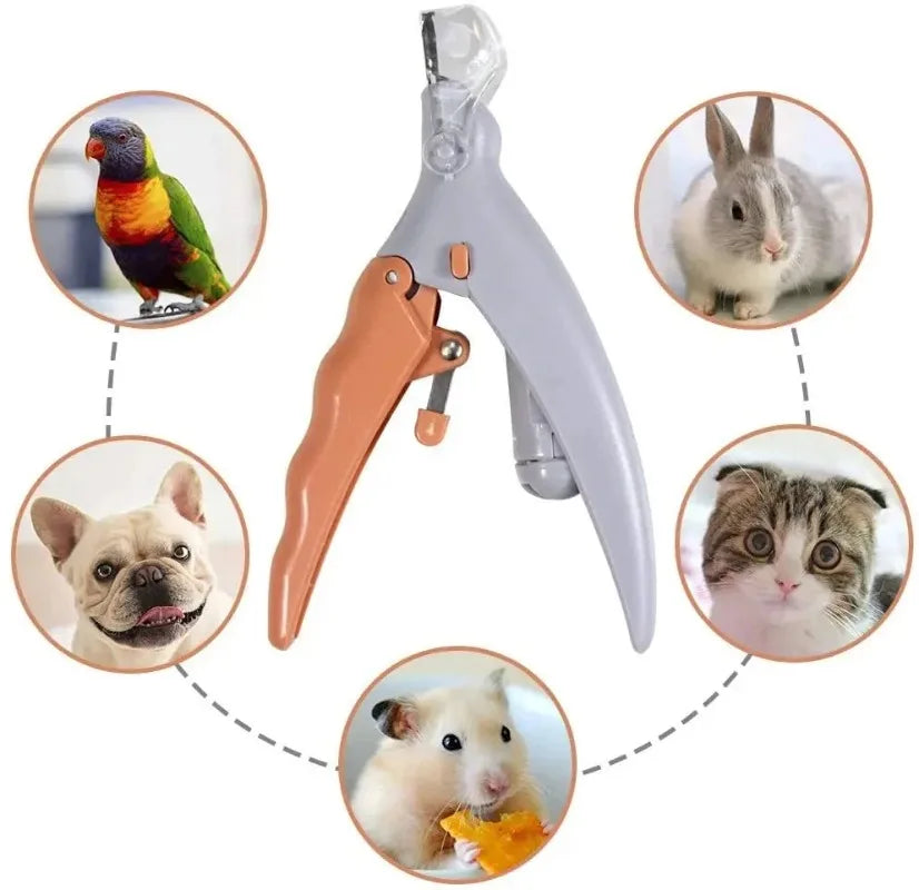 LED Light Equipped Pet Nail Trimmer Portable Claw Care Accessory Suitable For Dog Cat Household Daily Paw Grooming