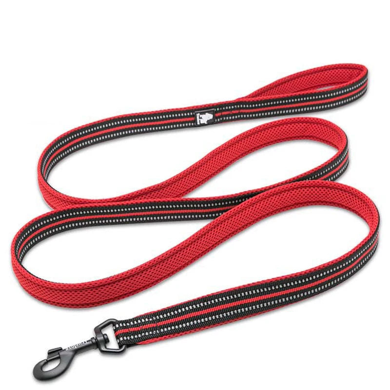Winhyepet Padded Handle Dog Leash Durable Training Nylon