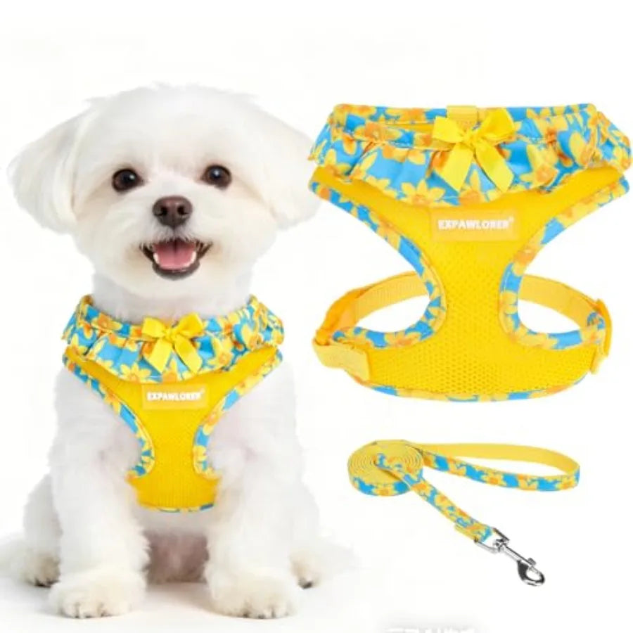 Adjustable No Choke Step In Dog Harness Leash Set Lightweight Mesh