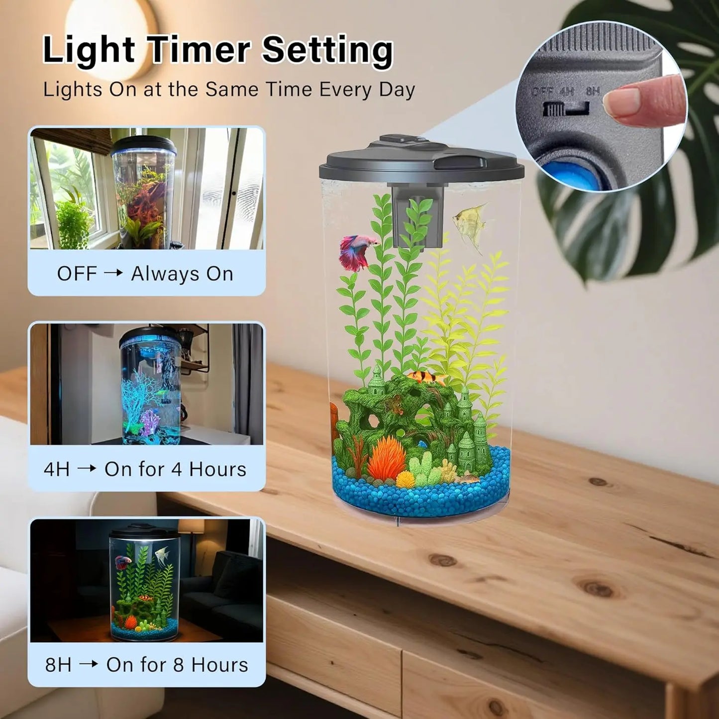 Complete Aquarium Kit With LED Lighting And Power Filter