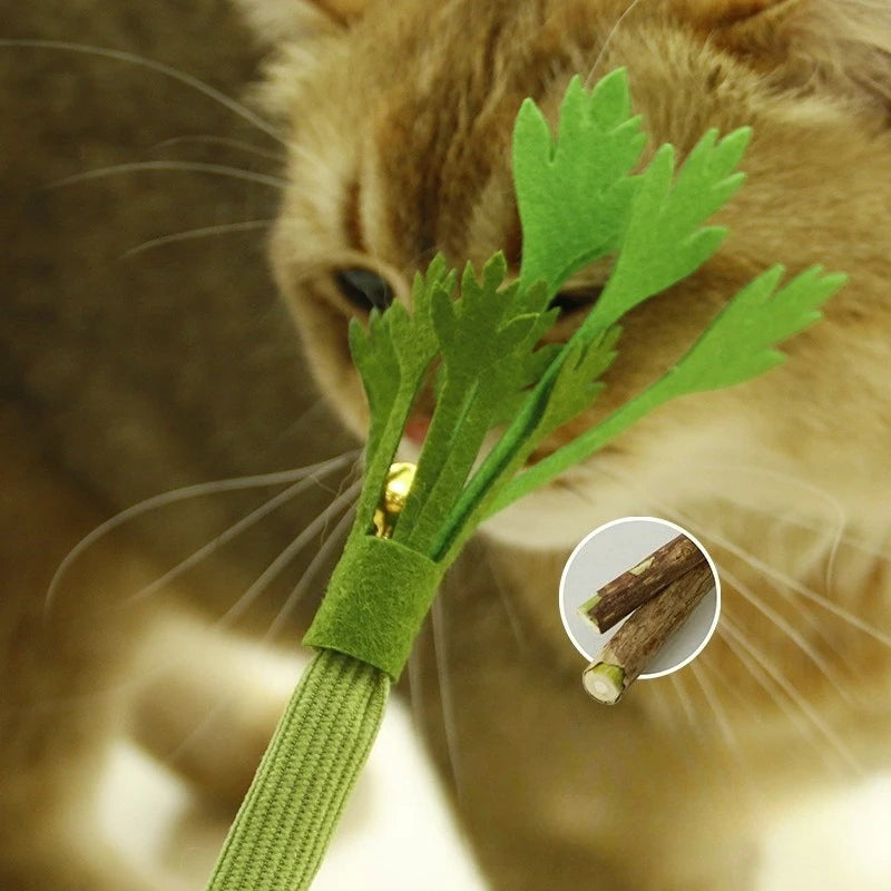 Cat Chew Toys Interactive Catnip Molar Stick With Bell Toy