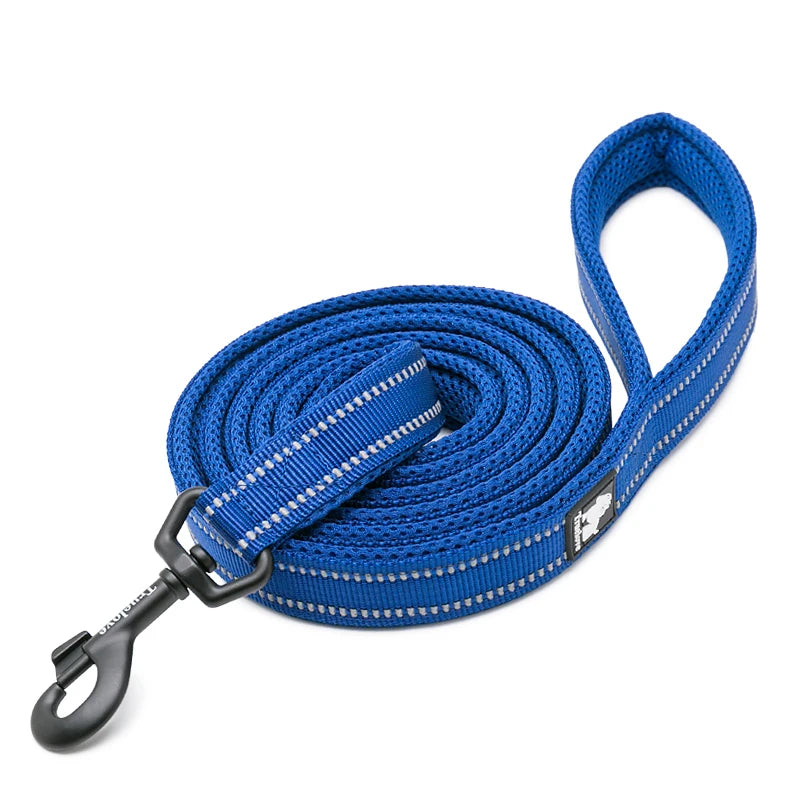 Winhyepet Padded Handle Dog Leash Durable Training Nylon