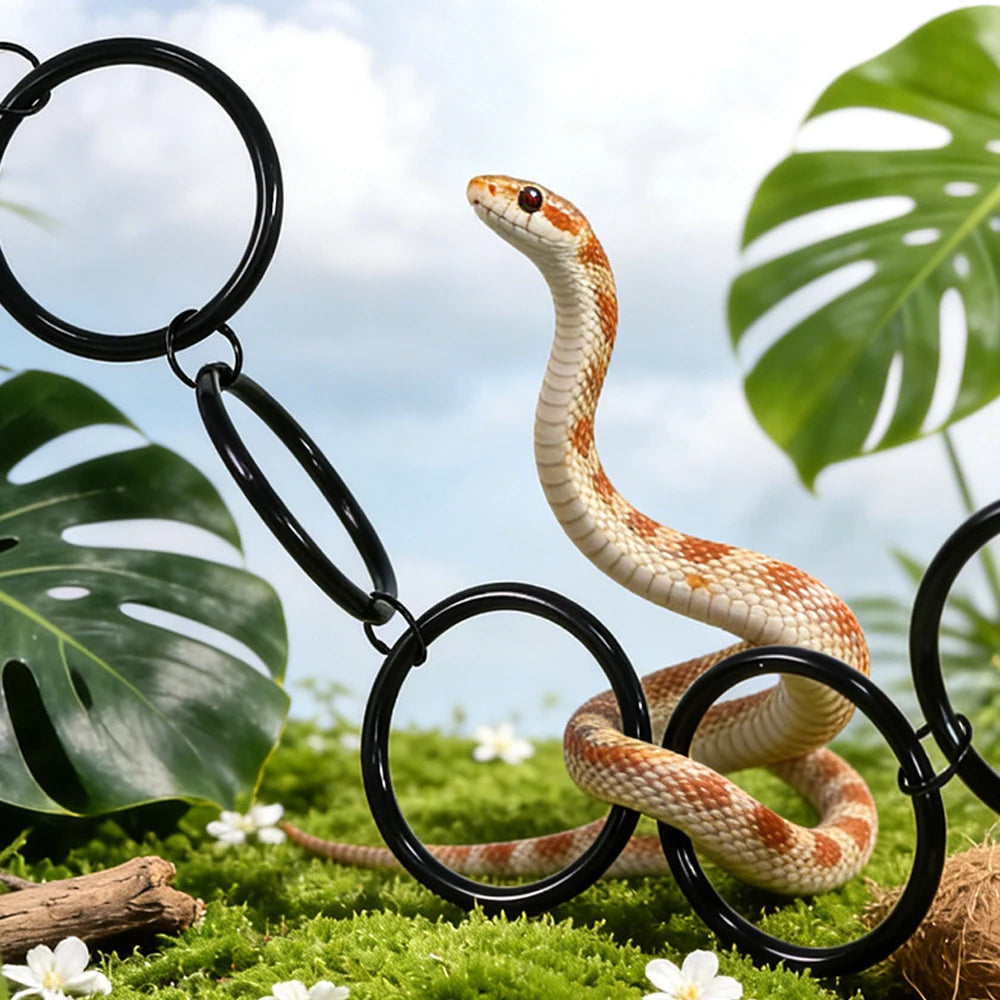Detachable Ring Jungle Gym For Reptile Terrarium Enrichment