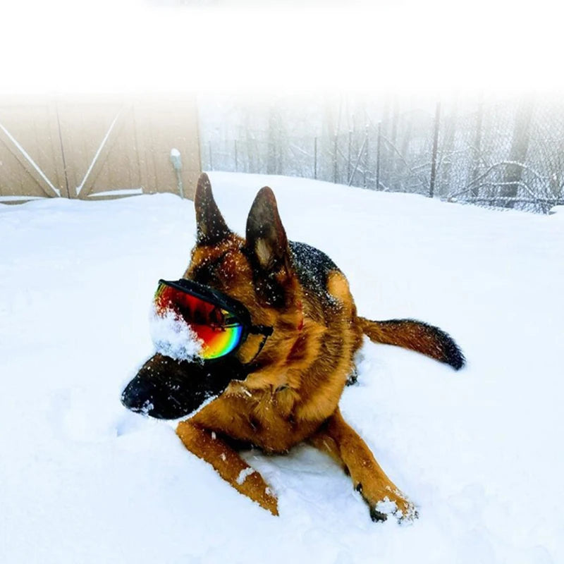 PETRAVEL CN Dog Goggles Anti UV Sunglasses For Travel Protection