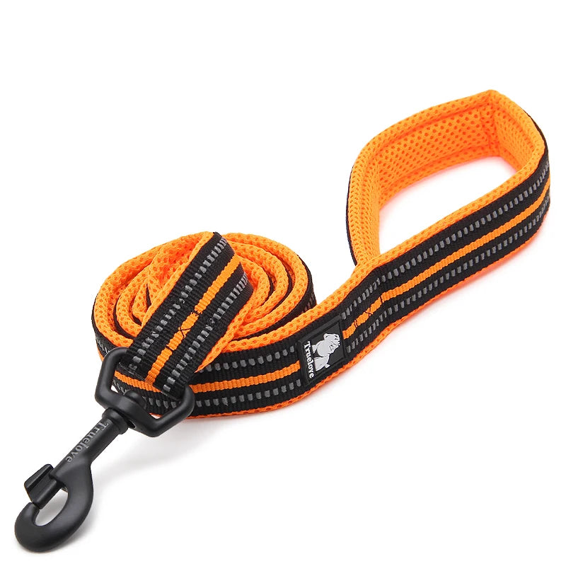 Winhyepet Padded Handle Dog Leash Durable Training Nylon