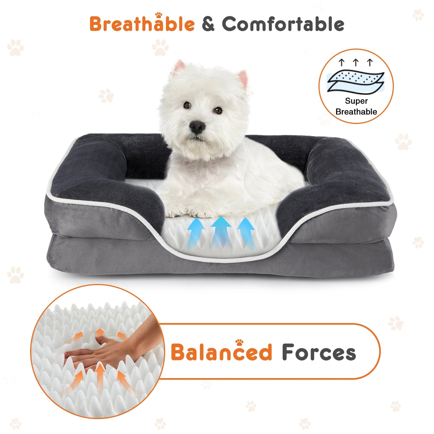 JHK Orthopedic Memory Foam Dog Bed For Small Dogs And Cats With Washable Cover