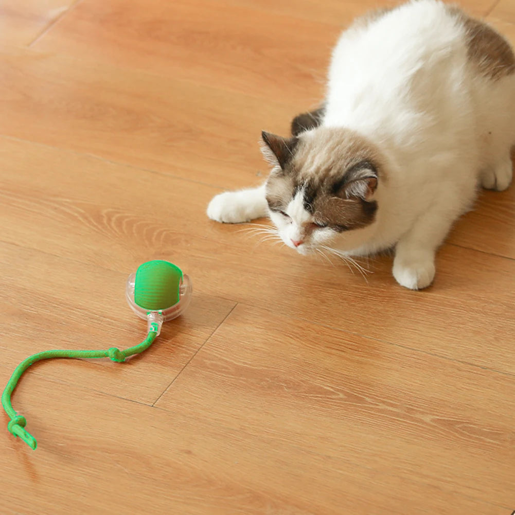 Alloet Cat Interactive Ball Toys Automatic Rolling Ball Indoor Cats
