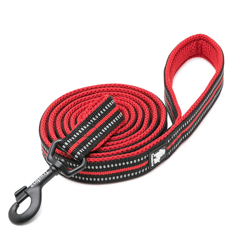 Winhyepet Padded Handle Dog Leash Durable Training Nylon