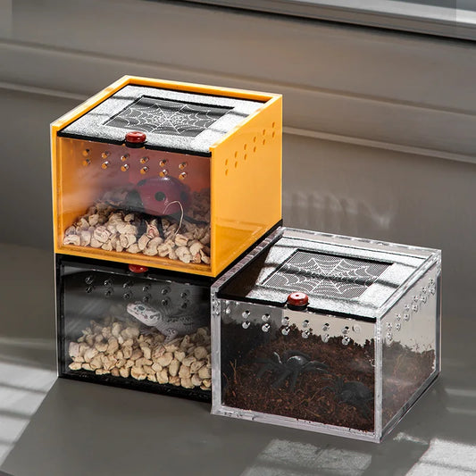 Acrylic Insect Feeding Box For Reptiles And Spiders