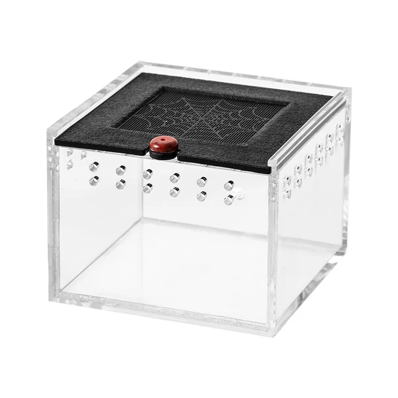 Acrylic Insect Feeding Box For Reptiles And Spiders