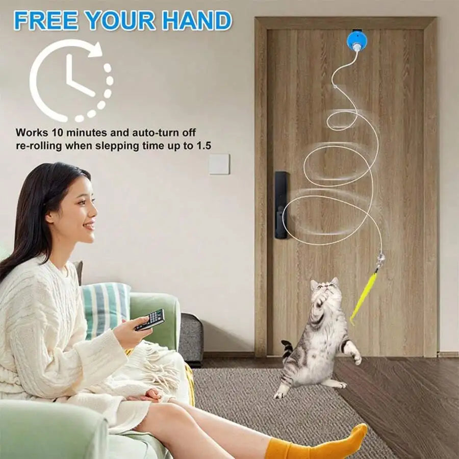 Interactive Cat Toy With Remote Control And Replaceable Heads
