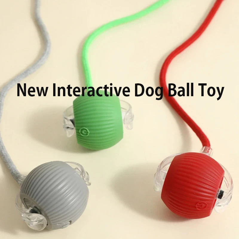 Automatic Rolling Interactive Dog Ball Toy Rechargeable Smart Puppy Toy