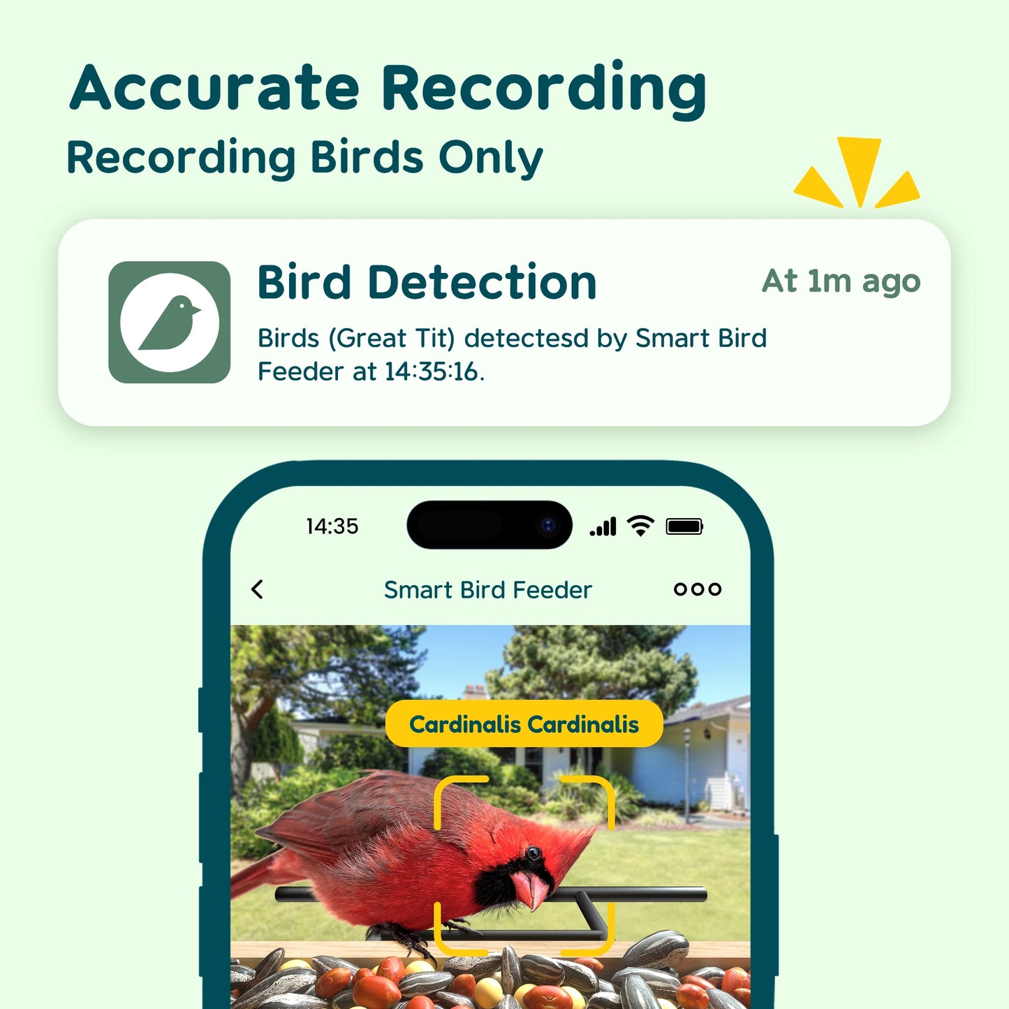 Bird Feeder With Camera Smart Birdhouse AI Identifies 10000 Plus Species