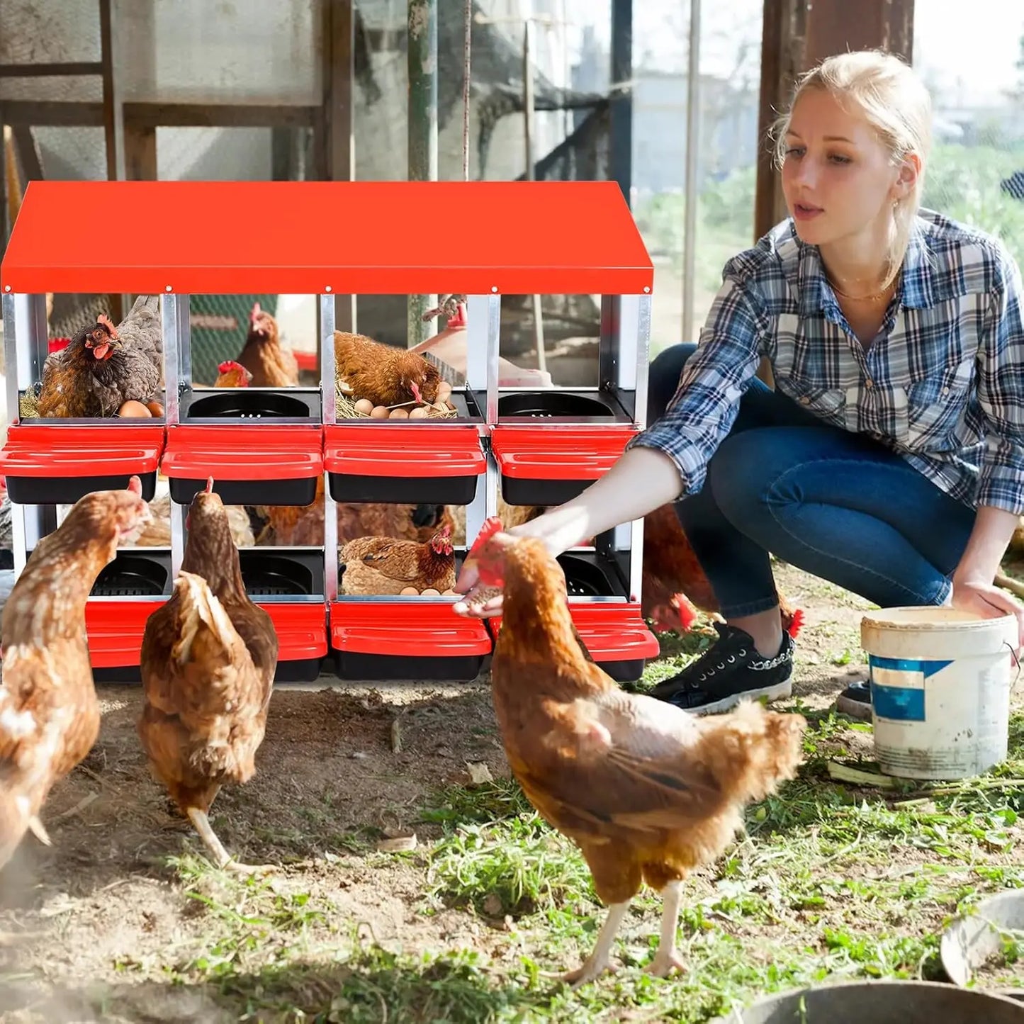 HiMISS Multi Compartment Chicken Nesting Boxes With Rollout Egg Collection