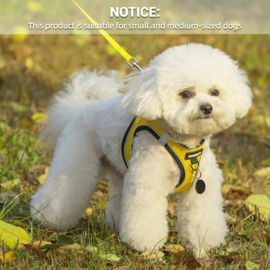 No Pull Dog Harness And Leash Set Reflective Easy Walk