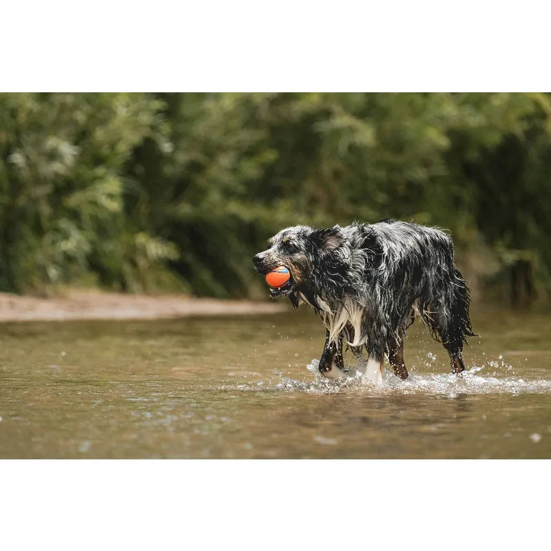Ultra Ball Rubber Super Bouncy Dog Toy For Land And Water