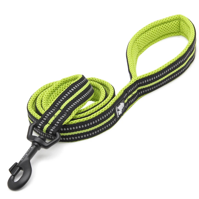 Winhyepet Padded Handle Dog Leash Durable Training Nylon