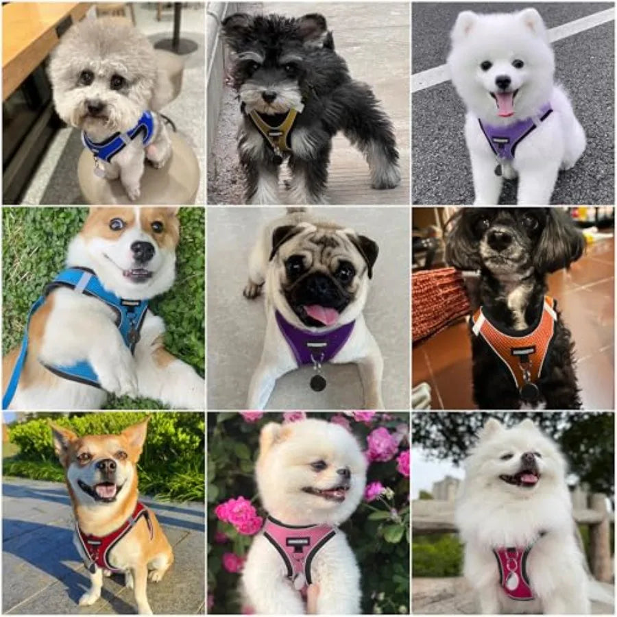 No Pull Dog Harness And Leash Set Reflective Easy Walk