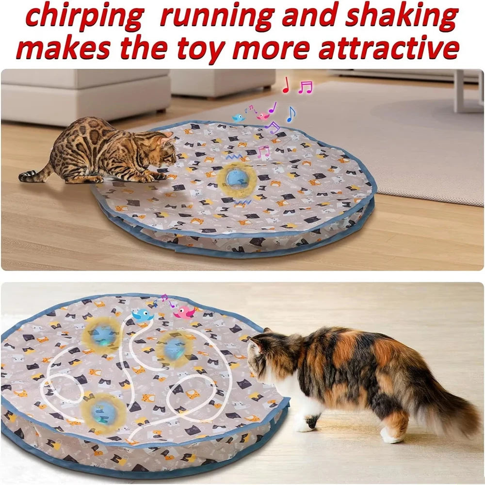 Motion Activated Interactive Cat Ball Toy For Indoor Hide And Seek