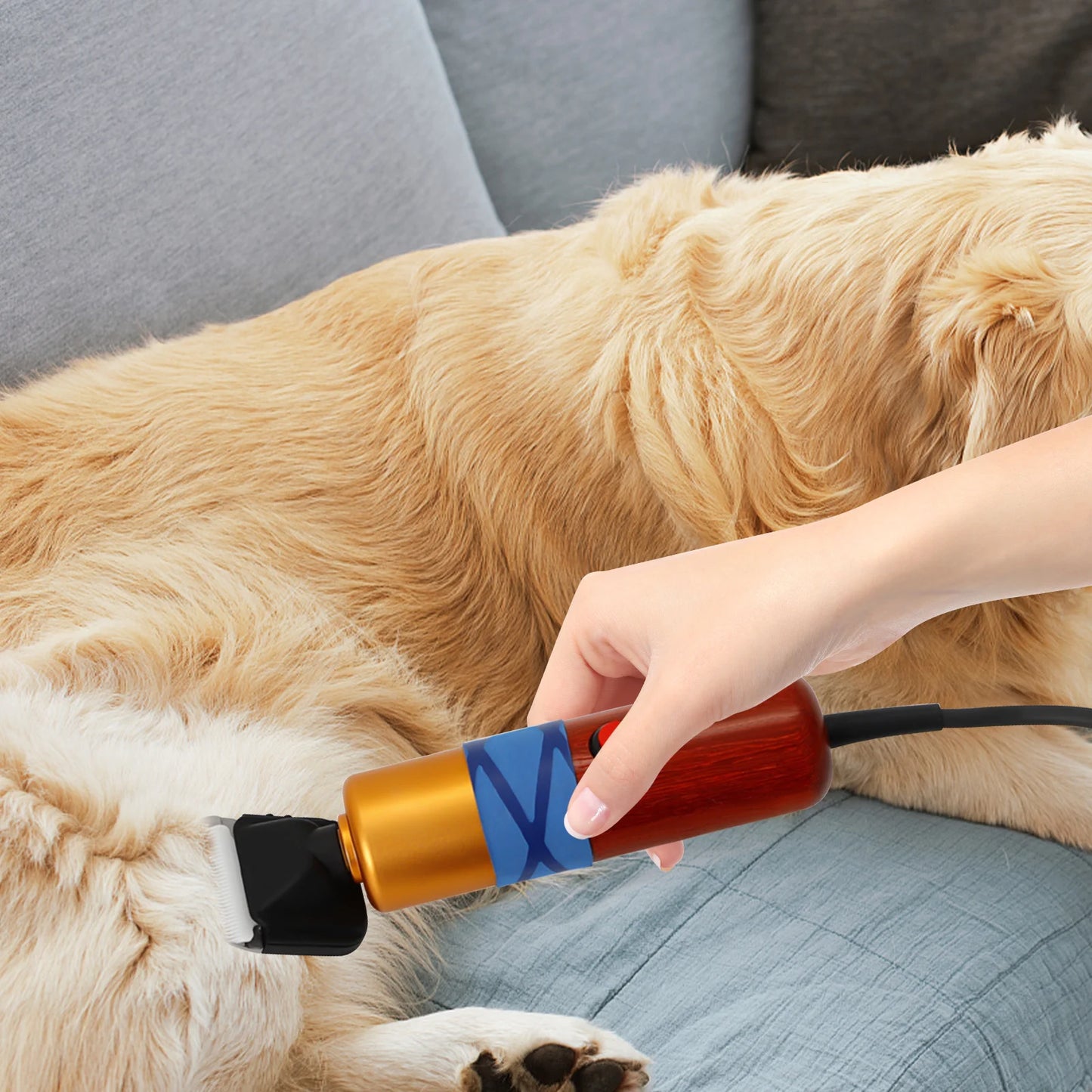 Pet Hair Clipper Low Noise Variable Speed Professional Electric