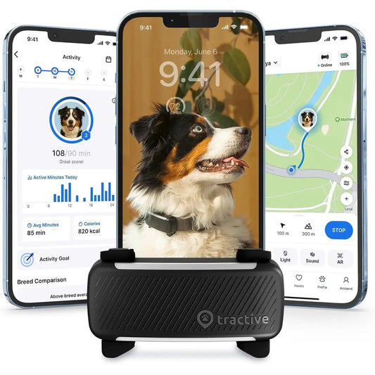Smart Dog GPS Tracker With Live Location And Virtual Fence Bark Detection