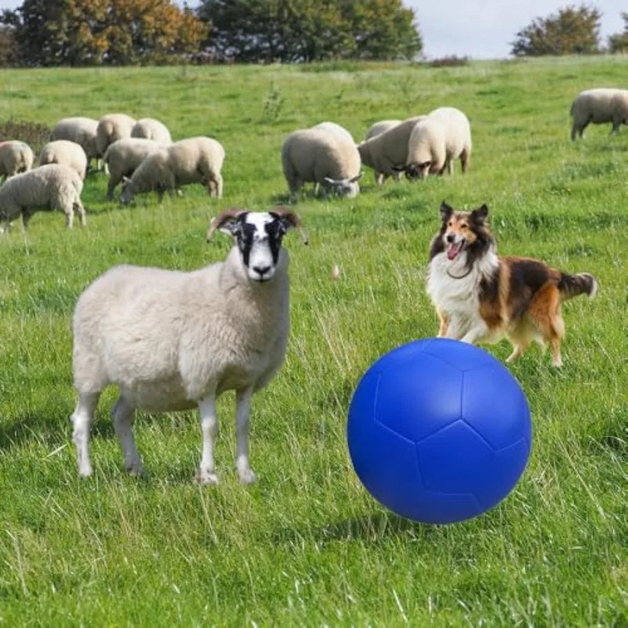 YAO HUI HUANG Dog Herding Training Ball For Outdoor Exercise