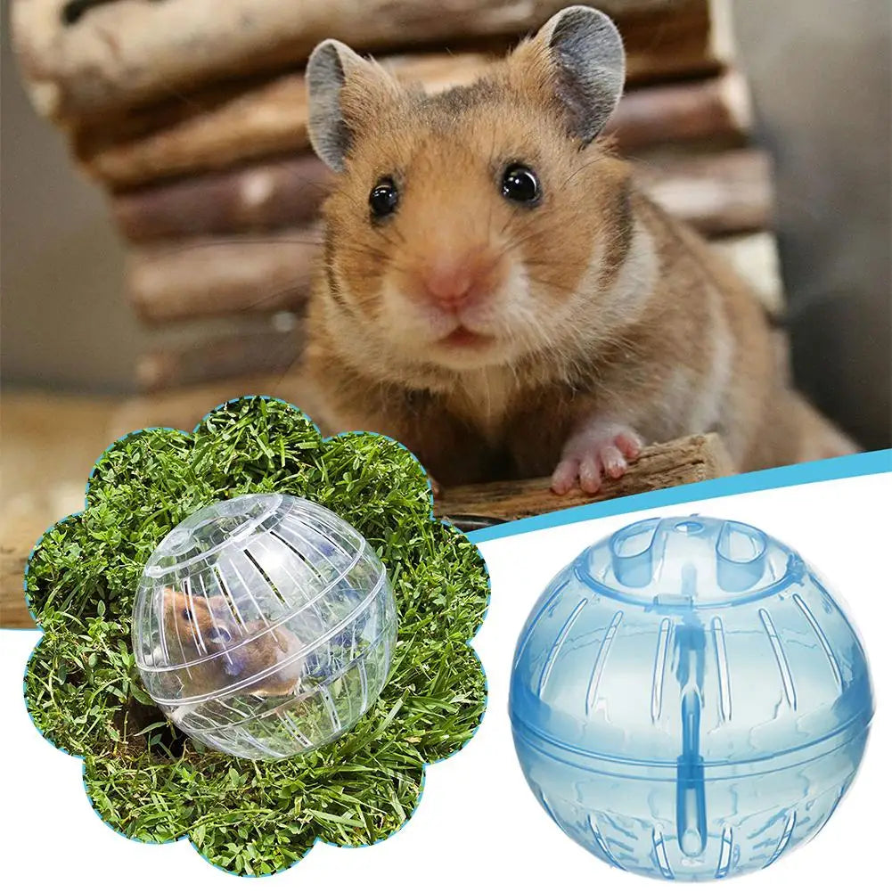 Transparent Acrylic Hamster Exercise Wheel Escape Proof Safe And Portable
