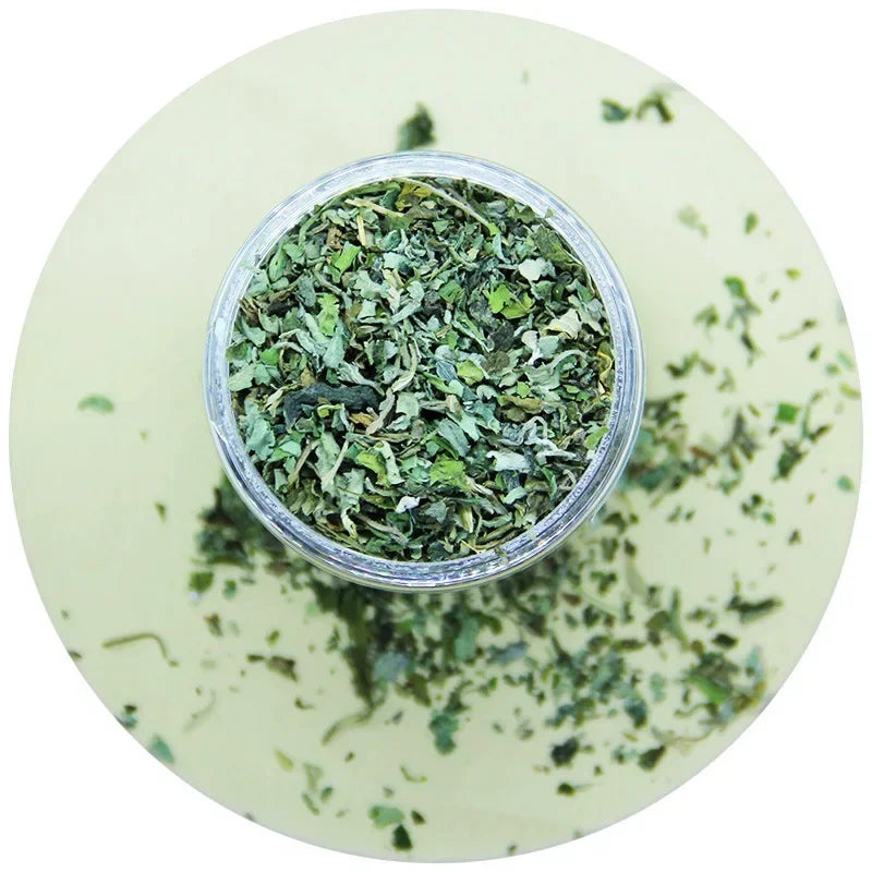 Organic Catnip Grass Mint Cat Toy For Cats Interactive Fun Pet Supplies