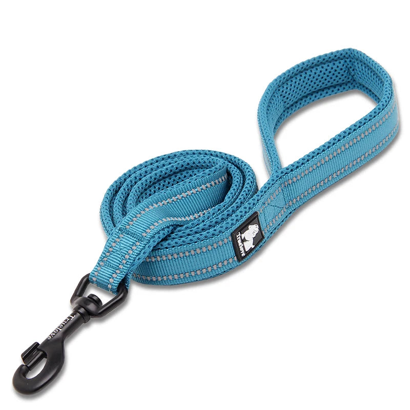 Winhyepet Padded Handle Dog Leash Durable Training Nylon