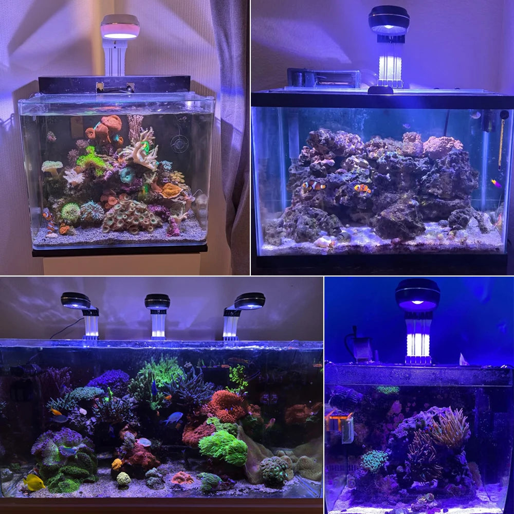 PopBloom LED Saltwater Reef Aquarium Lamp With Adjustable Timer