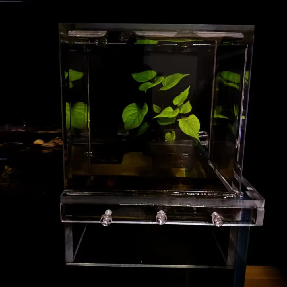 Landscaping Negative Pressure Fish Tank Unique Eye-catching Acrylic Suspended Fish Tank Easy to Install