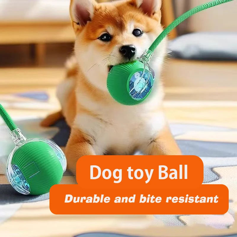 Automatic Rolling Interactive Dog Ball Toy Rechargeable Smart Puppy Toy