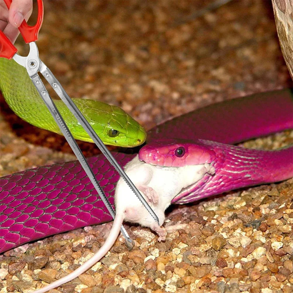 Snake Feeding Tongs Serrated Reptile Tweezers Extra Long For Terrarium