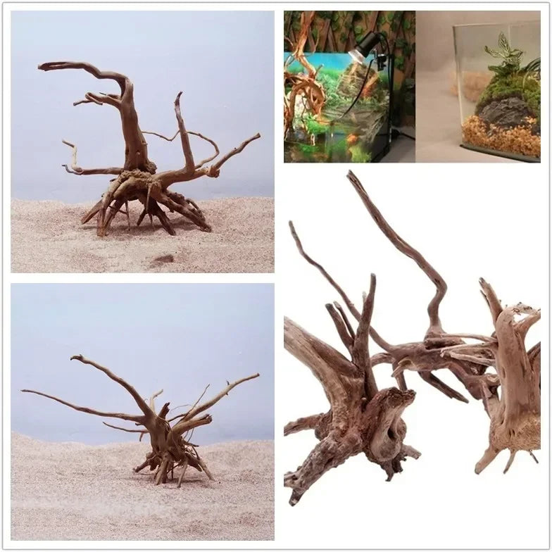 Natural Tree Trunk Driftwood Aquarium Decoration For Fish Tanks And Plants