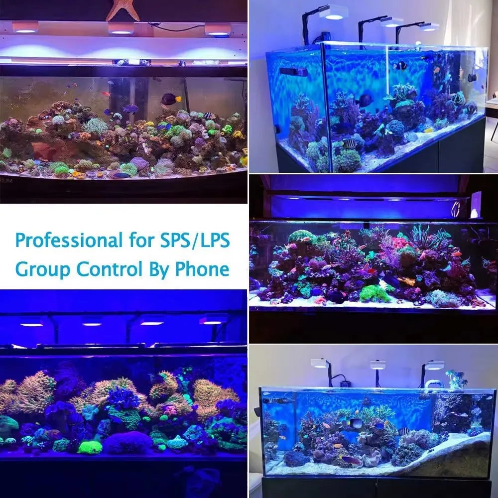 PopBloom RL90 WiFi LED Aquarium Light For Marine Corals
