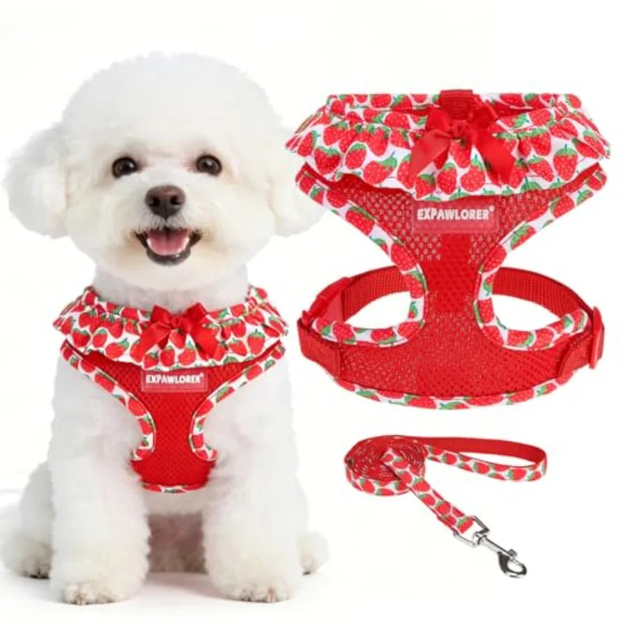Adjustable No Choke Step In Dog Harness Leash Set Lightweight Mesh