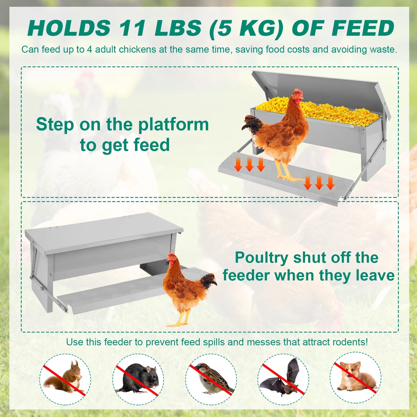 Treadle Automatic Chicken Feeder With Weatherproof Lid For Poultry Rat Proof