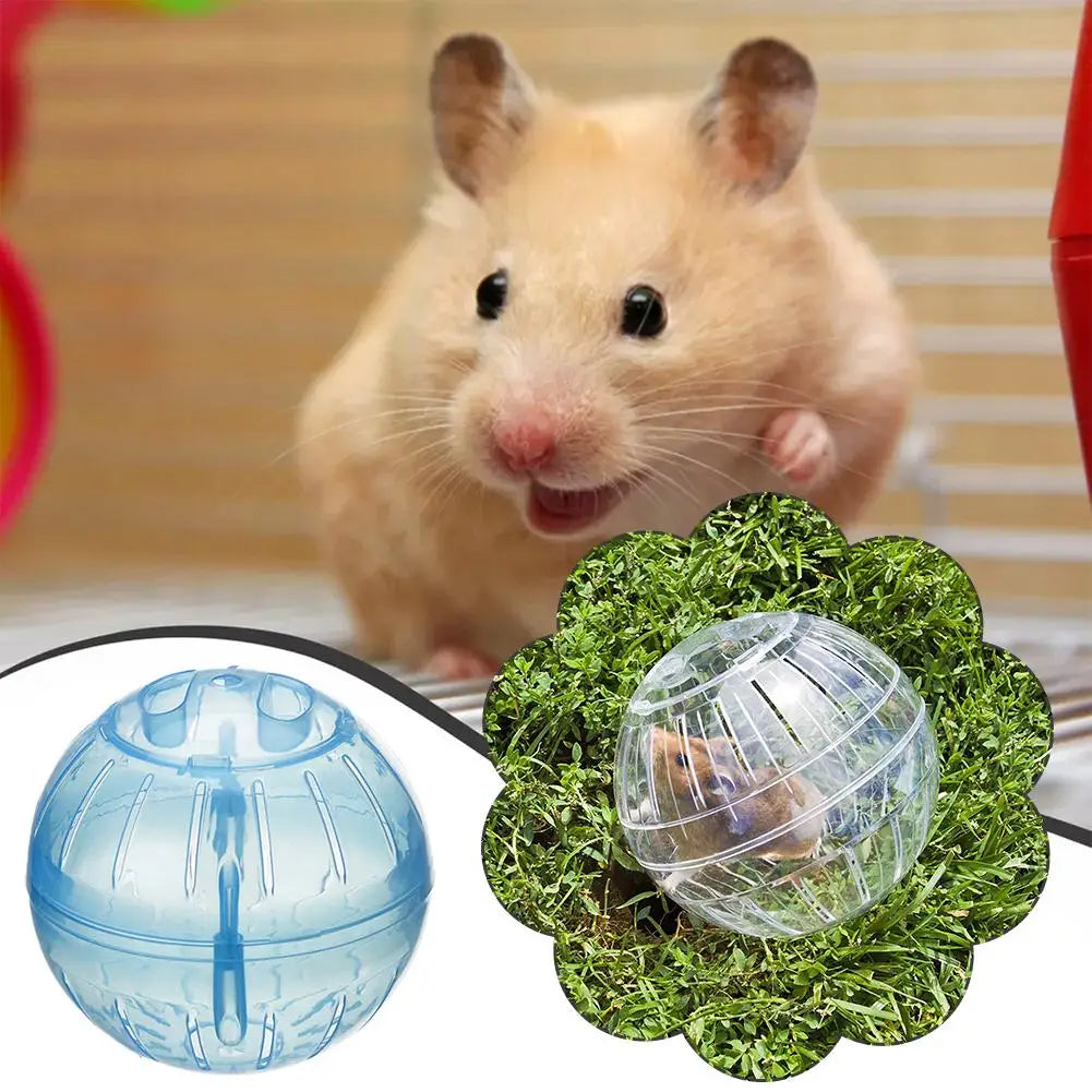 Transparent Acrylic Hamster Exercise Wheel Escape Proof Safe And Portable