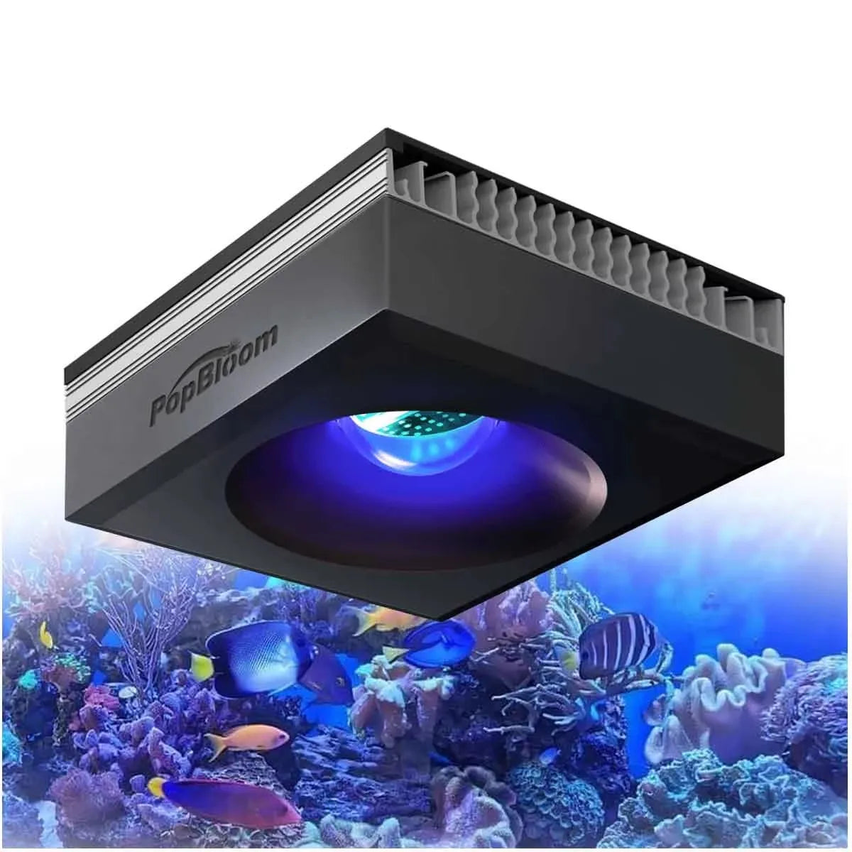 PopBloom 100W WiFi Reef Aquarium Light Full Spectrum LED