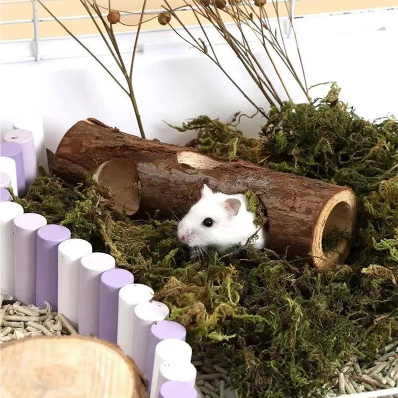 Natural Apple Wood Hamster Rabbit Chew Toy For Small Pets