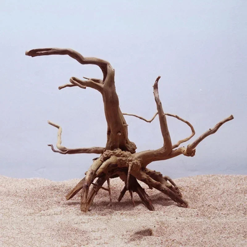 Natural Tree Trunk Driftwood Aquarium Decoration For Fish Tanks And Plants